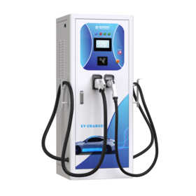 BLUESKY 60kw DC GB/T commercial ev charger electric car charging station fast electric car charger new energy charging pile
