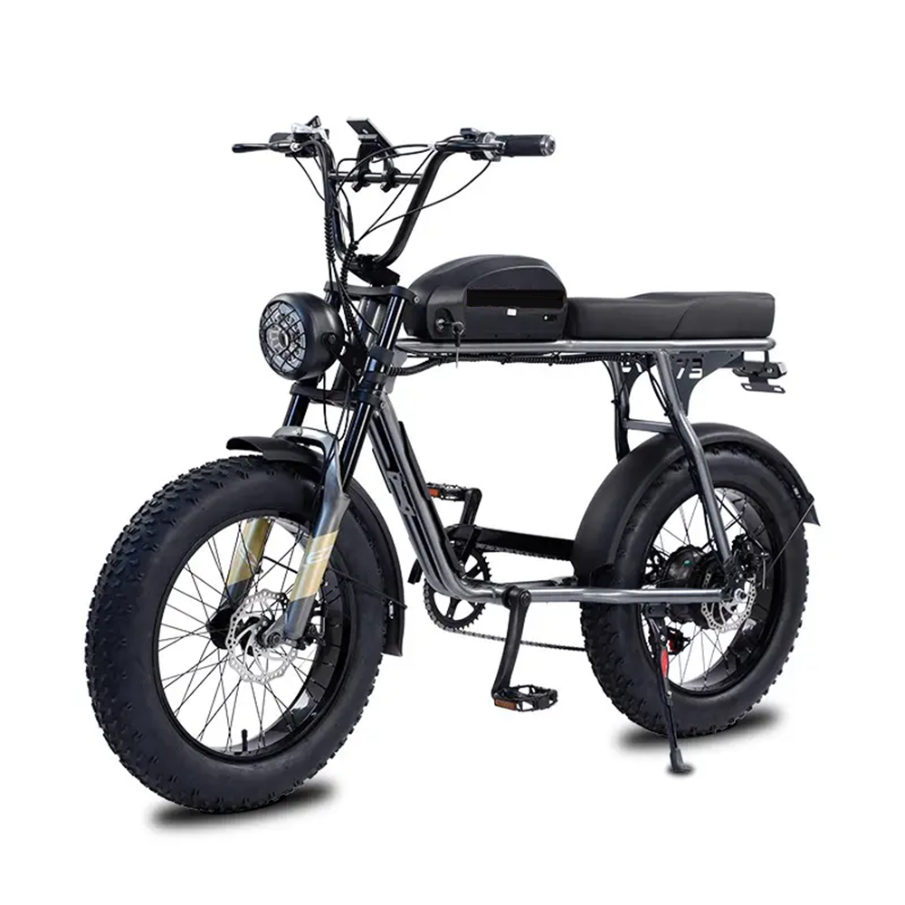 Bajin Technology Langfang Co., Ltd. 20inch super fat tire dual battery rental moped style vintage cafe racer electric motor cross bike cruiser 73 bicycle