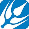 Company icon