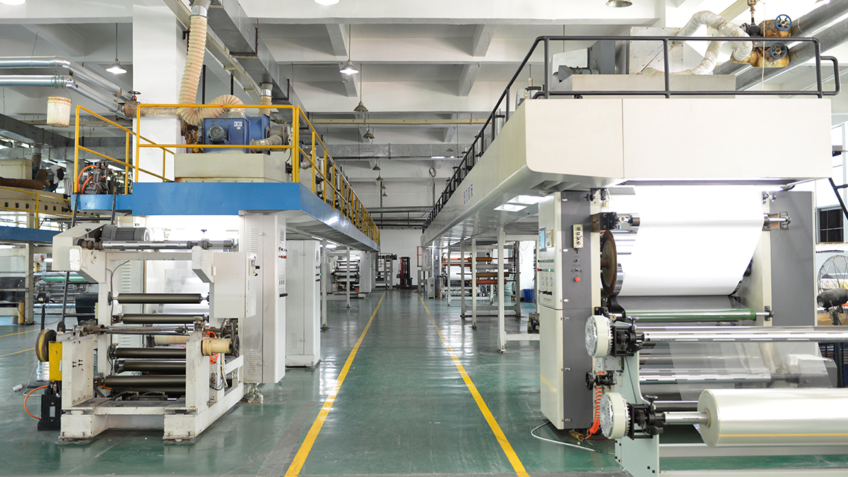 Creative Beauty (Xiamen) Decoration Products Co., Ltd. Paint Protection Film