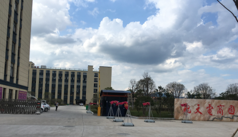 Yiwu Fly Sky Lighting Factory LED Balloon