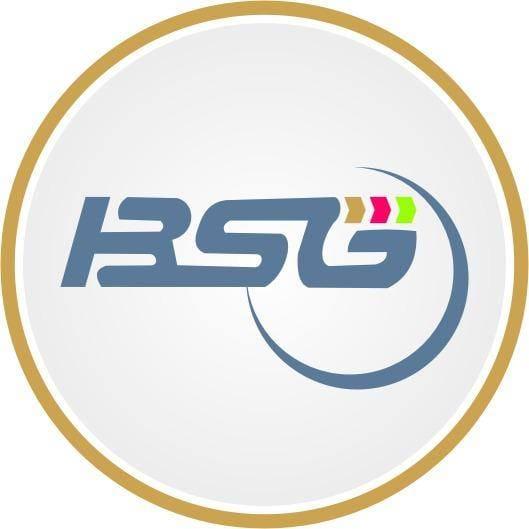 B.S. INTERNATIONAL logo