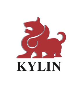 Company icon