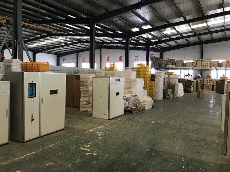 Dezhou Xusheng Poultry Equipment Factory egg incubator