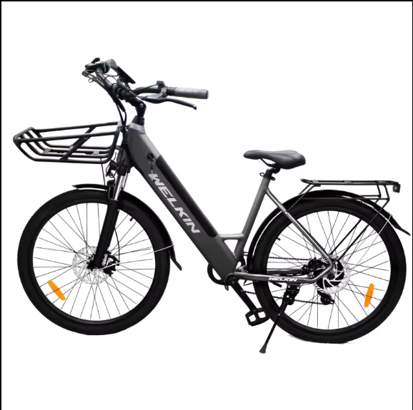 36V 10AH Lithium Battery 250W Rear Hub Motor Road Electric Bike Big Digital Display Disc Brakes Electric Mountain Bike Features