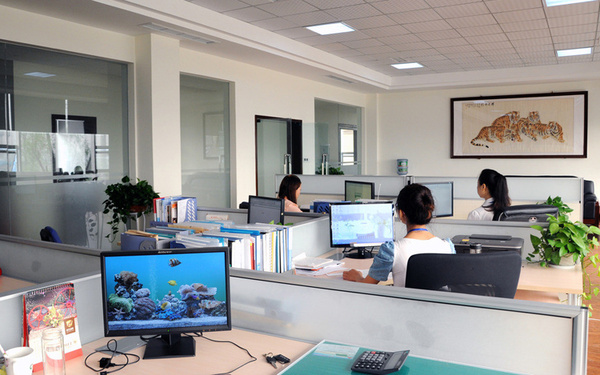 Shaoxing Duoyue Window Decoration Co., Ltd. Zebra Blinds