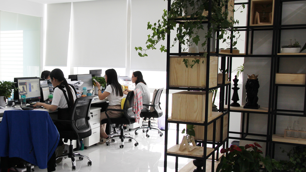 Hangzhou Standard Mayo Industrial Co., Ltd. Exercise Bikes