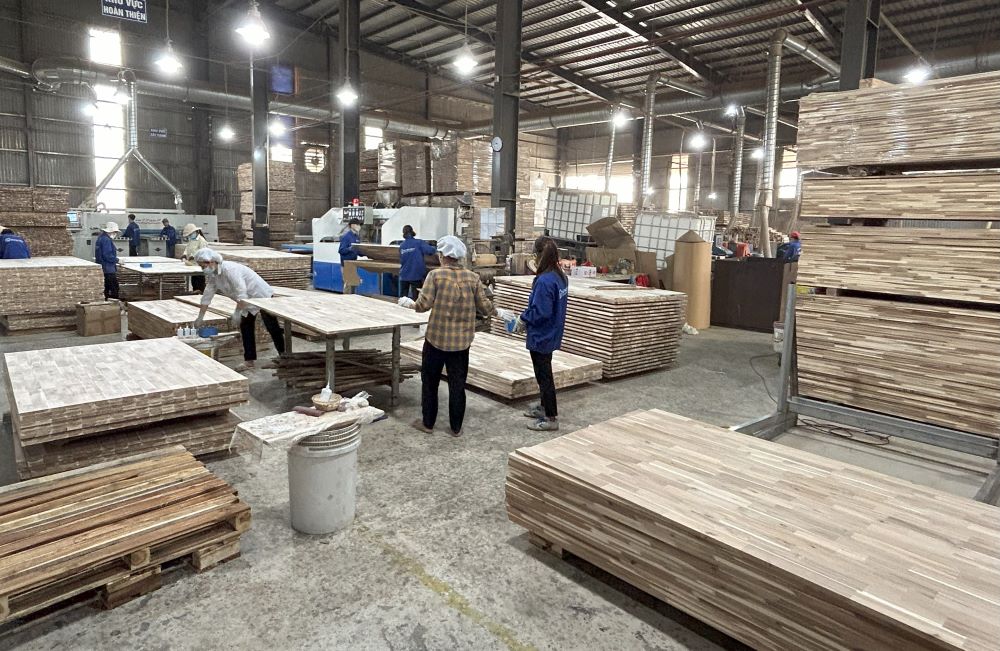 Dai Viet Wood Company Limited Acacia Finger Joint Panel
