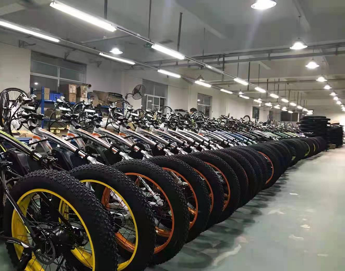 Dongguan Longjie Bicycle Co., Ltd. Electric Mountain Bike