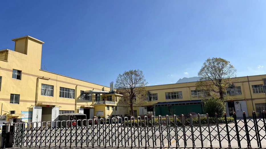 Zhejiang Tongyuan Toys Co., Ltd. preschool wall toys