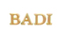 Badi Industry Co., Ltd. Guangdong logo