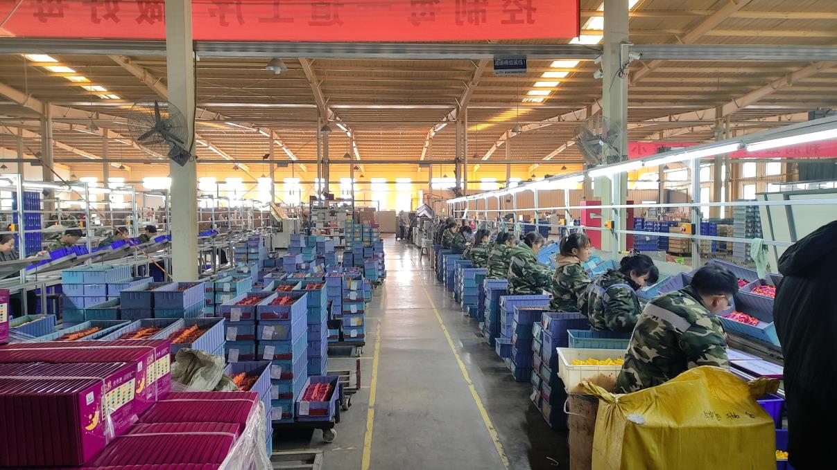 Hebei Chinjoo Art Materials Technology Co., Ltd. Water Color Paint