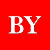 Shenzhen Bayao Technology Co., Ltd. logo