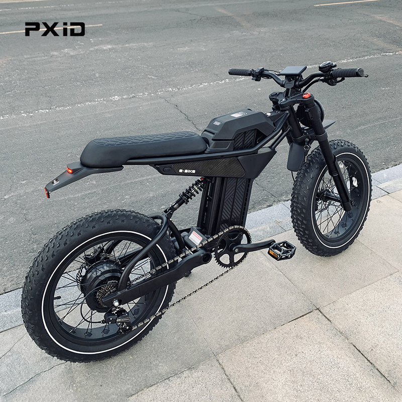 Huaian PX Intelligent Manufacturing Co., Ltd. PXID Latest model P6 e bike 750W 48V best emtb 20 inch fatbike full suspension electric hybrid bike