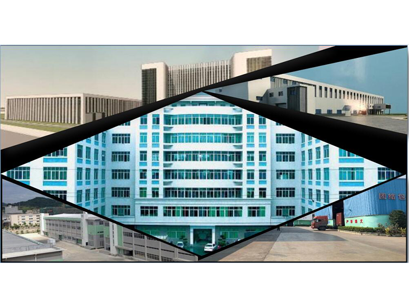 Shenzhen Brainpower Animation Co., Ltd. RC Cars