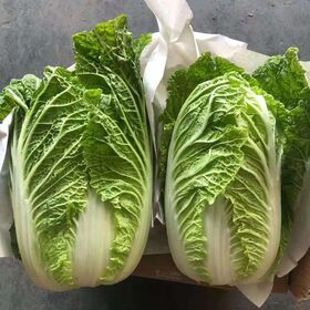 Chinese yam,cabbage,garlic stalk, lotus fresh vegetables mixed supply