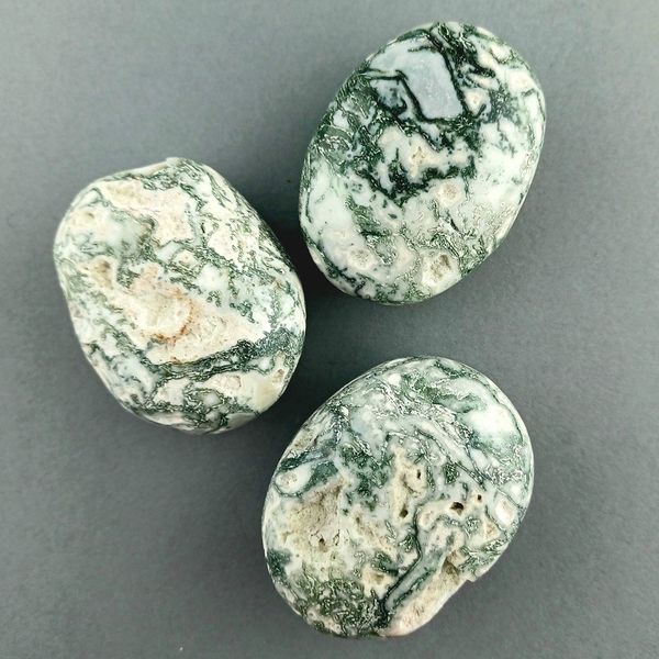 best selling natural crystals healing stone tree agate bulk high polished gemstone palm stone for sale