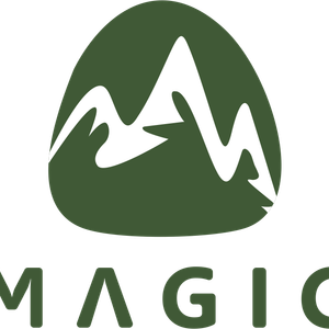 Company icon