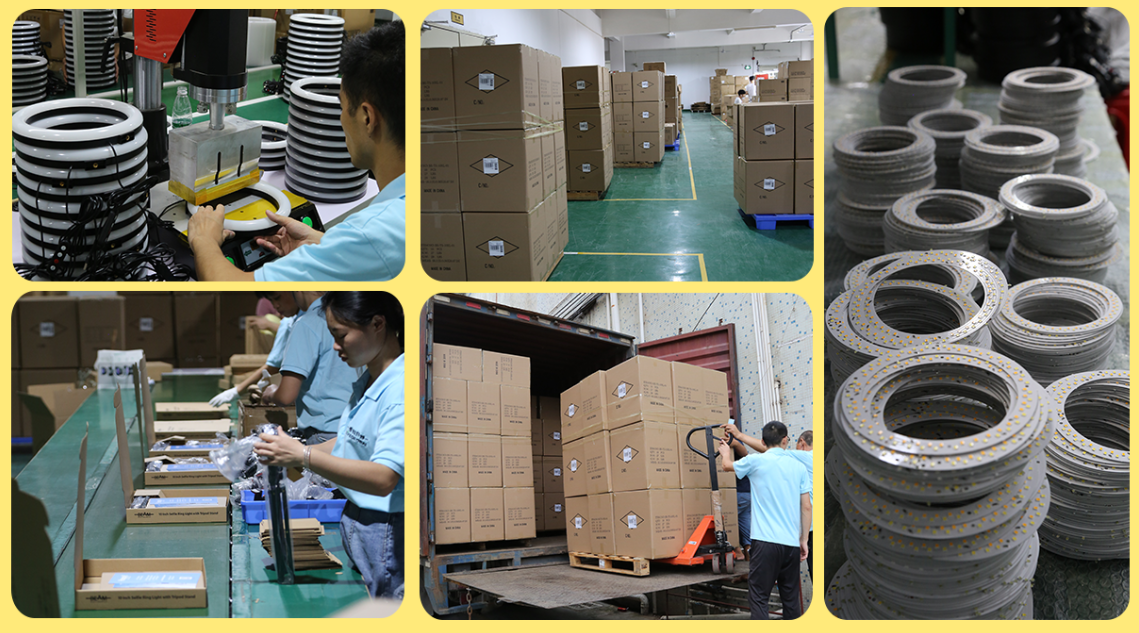 Shenzhen Itech Global Industrial Co., Ltd. Ring Light