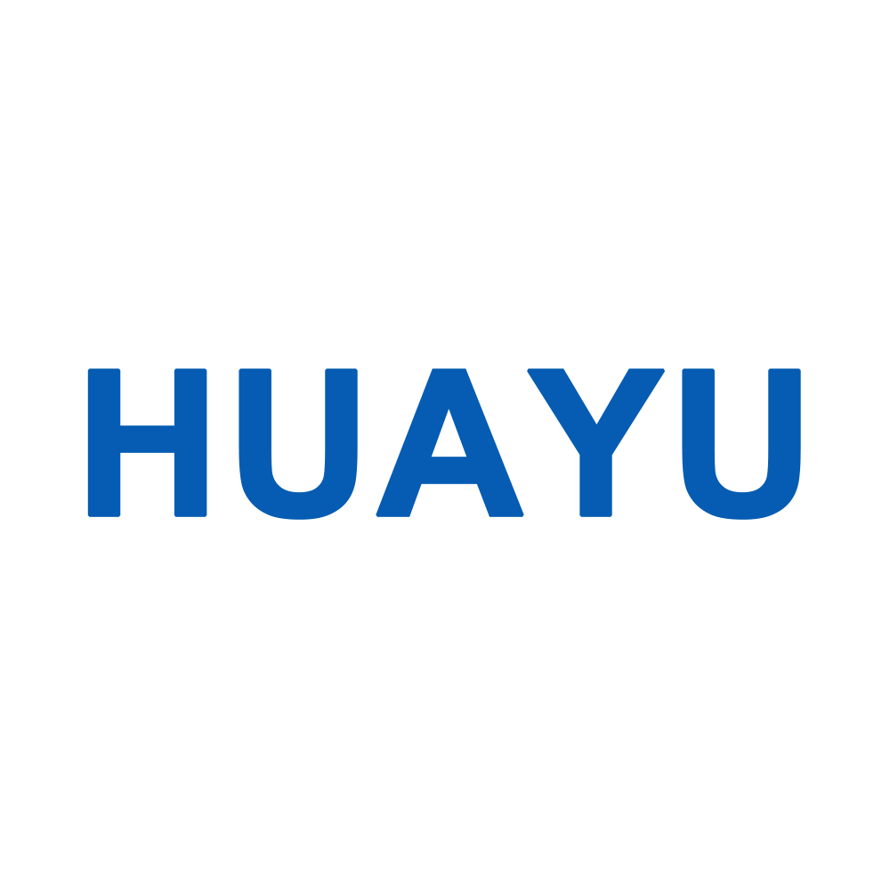 Shenzhen Hs Video Technology Co., Ltd. logo