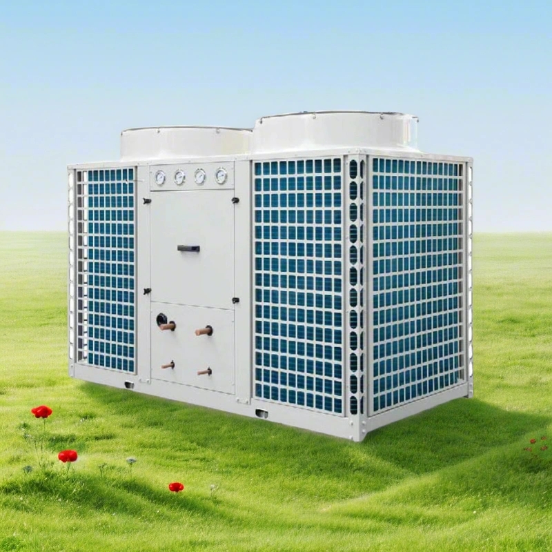 Customizable R410a R22 handled unit air air conditioner system High precision constant temperature humidity unit with laboratory