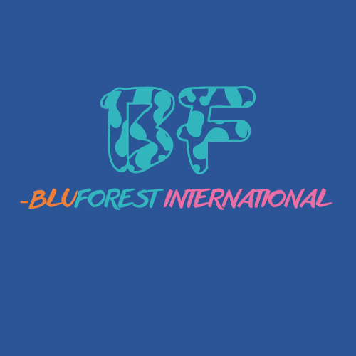 BLUFOREST INTERNATIONAL LIMITED logo