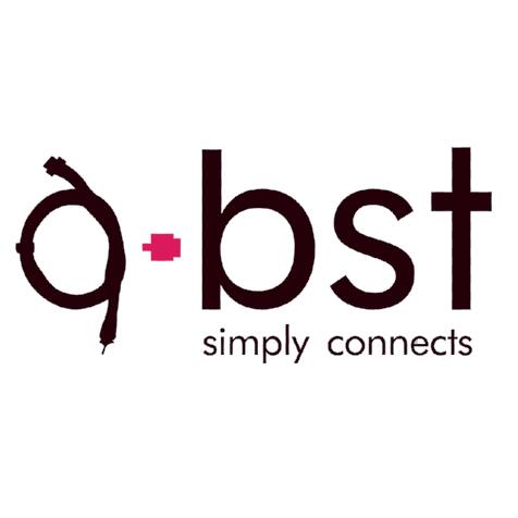 Shenzhen Baisitai Computer Accessories Co., Ltd. logo