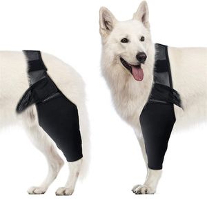 Dog Brace Wrap Support Recovery Sleeve Breathable Dog Back Leg Braces Neoprene OEM Orthopedic Dog Knee Brace For Torn ACL