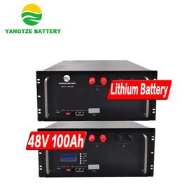 Yangtze 20 years working life lifepo4 48v 100ah battery pack with BMSPopular