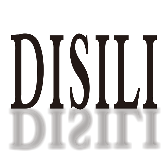 Zhongshan Disly Lighting Co., Ltd. logo