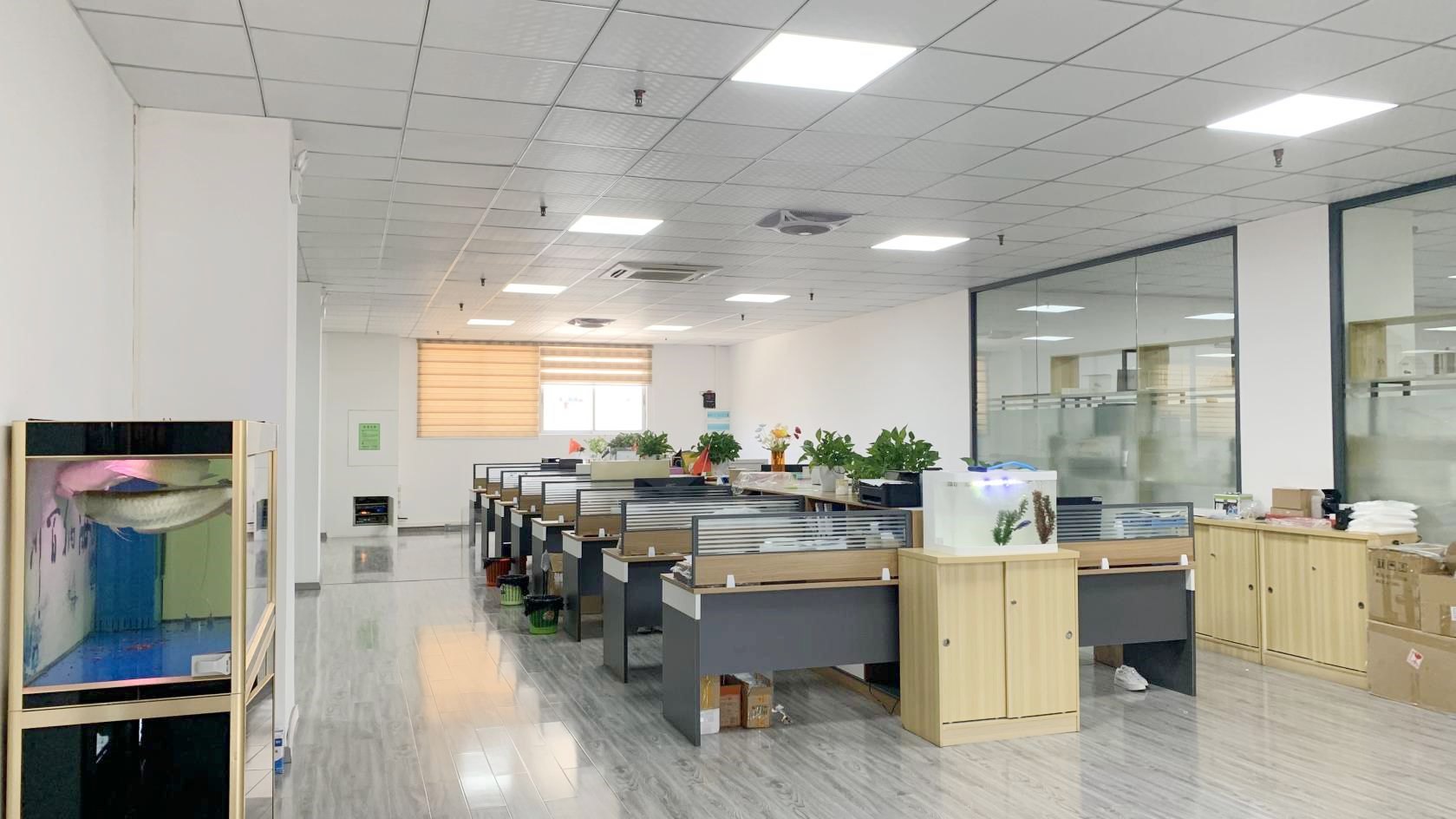 Shenzhen Sky Creation Acrylic Products Co., Ltd. Acrylic Display