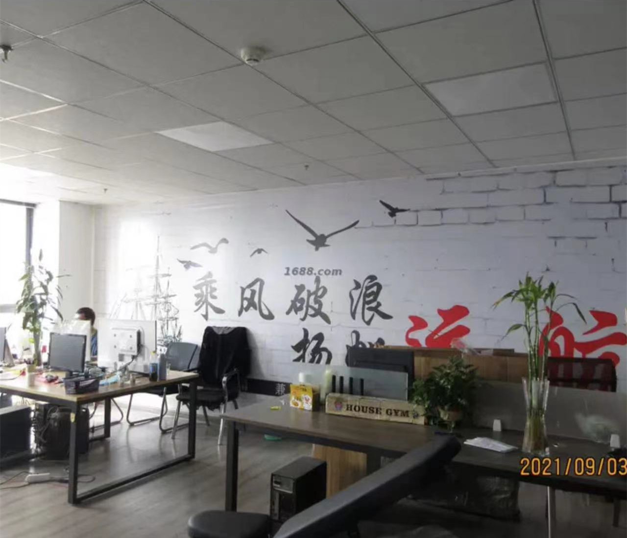Jinhua Youfei Sports Culture Development Co., Ltd. Back Braces