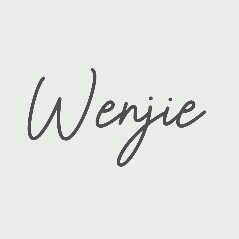 Yiwu Wenjie Bags Co., Ltd. logo