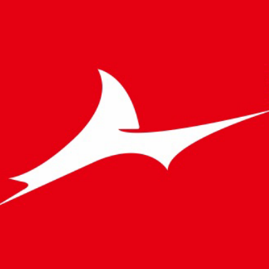 Yiwu Dingchao Clothing Co., Ltd. logo