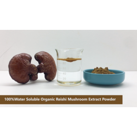 EU & USDA Organic Ganoderma Lucidum Mushroom Powder, Reishi Extract Powder