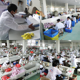 Shanghai Cheeron Industrial Co., Ltd. Pet Toys