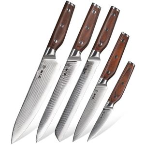 5PC Professional Japanese Damascus Steel Chef Knife Set with Mirror Wood Handle