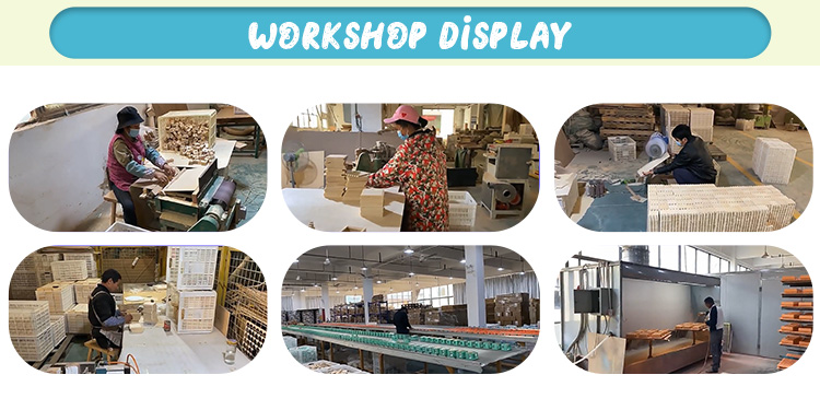 Lishui Yari Toys Co., Ltd. Educational Toys
