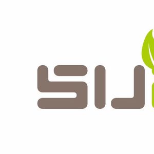 Company icon