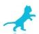 Company icon