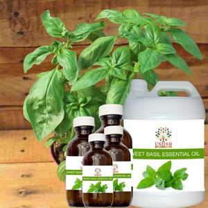 Private label Basil Essential Oil Manufacturer and Exporters at Bulk Rates with Therapeutic grade