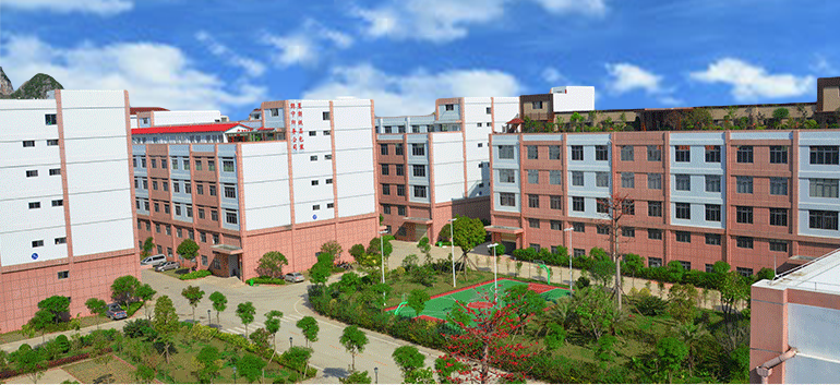 Guangxi Progreen Packaging Co., Ltd. paper cups