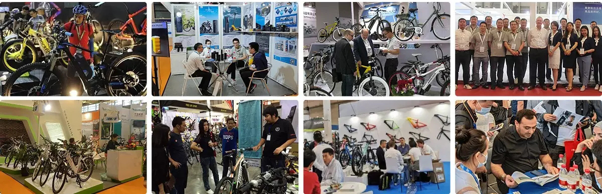 Zhejiang Baishuo Industry and Trade Co., Ltd. Electric bike