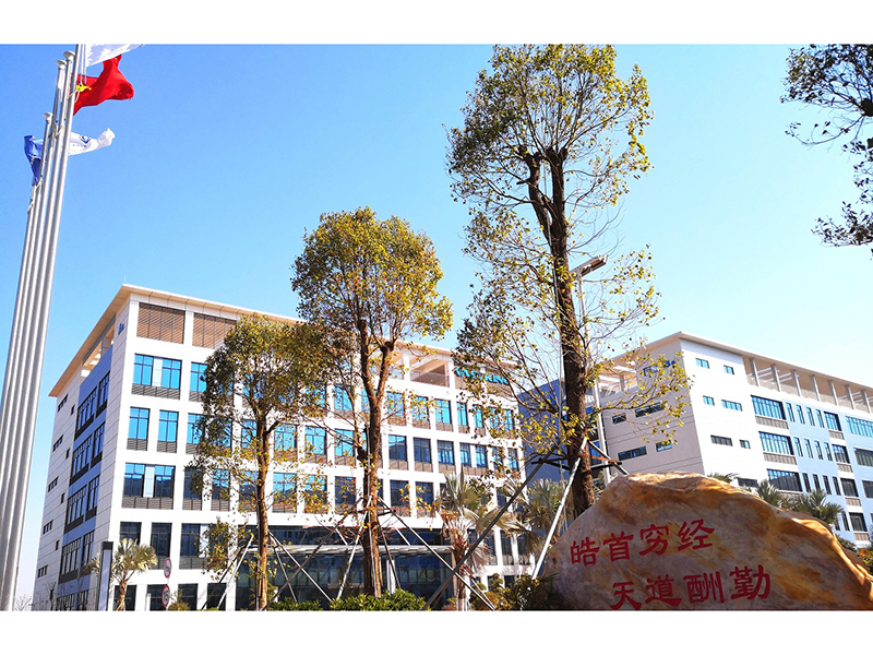 Heyuan Vastking Electronic Co.,Ltd factory image 2