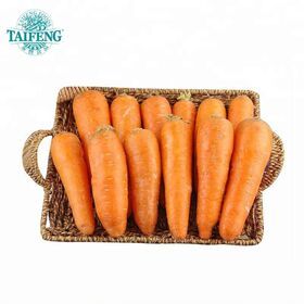 2022 new crop Fresh Carrot - High Quality and Best Price/ carrot price