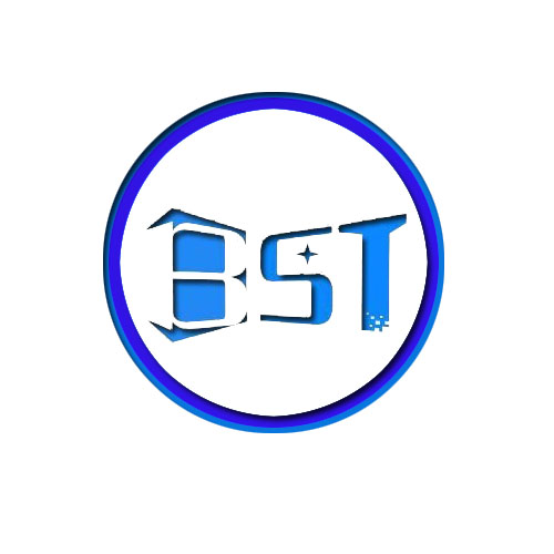 Shenzhen Baishuntong Industrial Company Limited logo