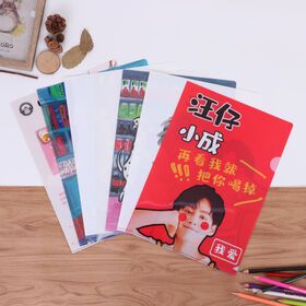 Small Orders Accepted OEM A4 size L-shape file folder customized file folder office stationery Japan holder