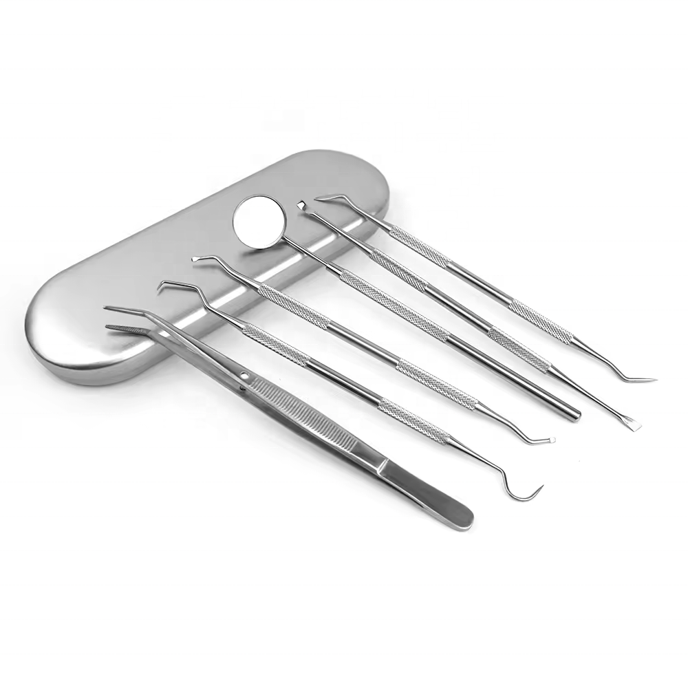 6PCS Stainless Steel Dental Mirror Dental Dentist Prepared Tool Set Probe Tooth Care Kit Instrument Scaler