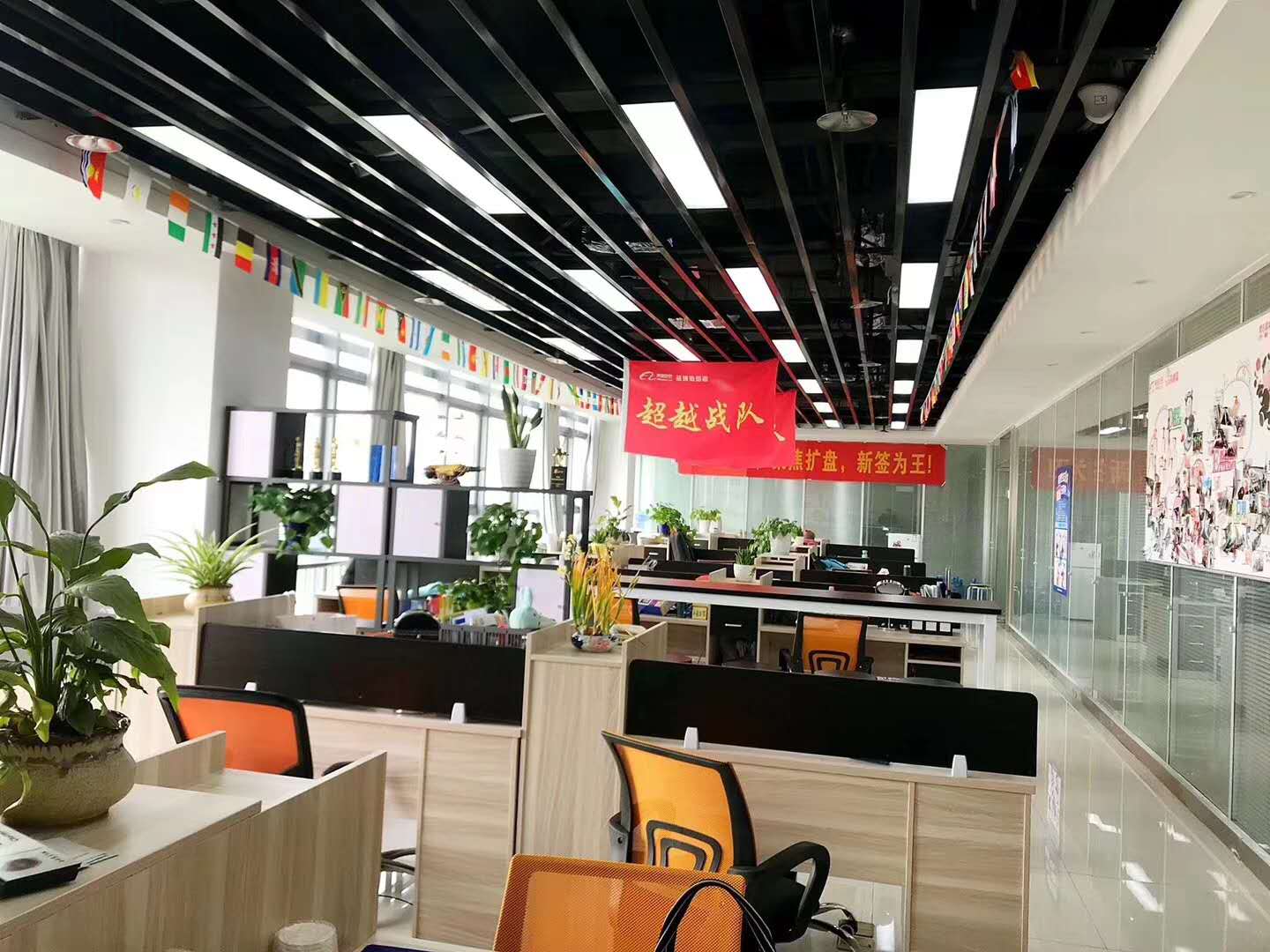 Suzhou Cgiils Import Export Co., Ltd. Plush Toys