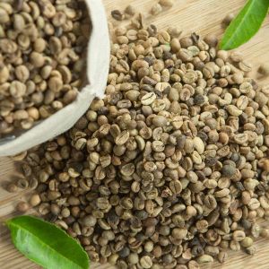 Visimex Standard Robusta Whole Bean Coffee Premium Quality from Vietnam Best Arabica Coffee Bean Packaged in Box and Bag